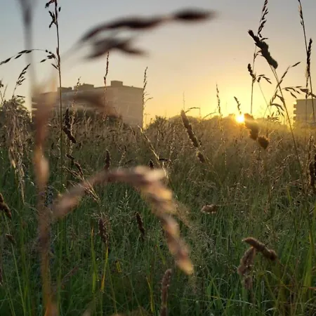 Cozy In Host House Near Rotterdam 마슬라위스