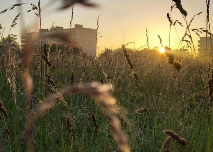 Cozy In Host House Near Rotterdam מאס-סלאוס